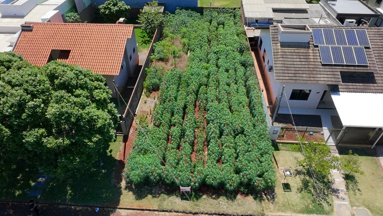 DJI_20260126110345_0095_D