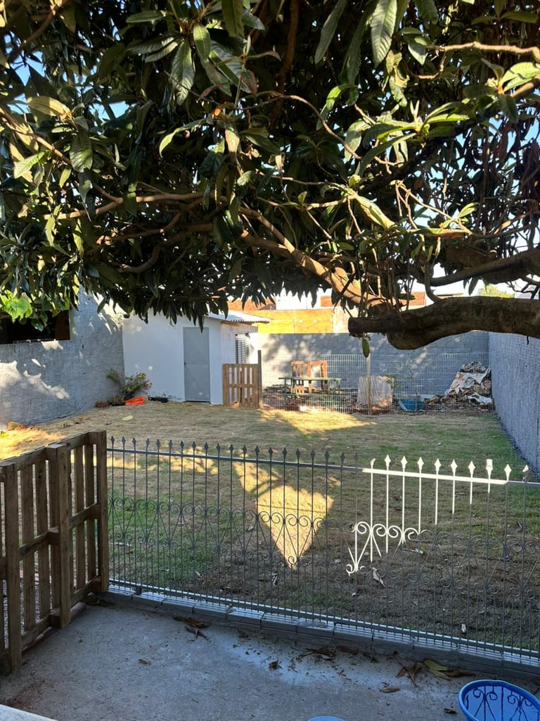 WhatsApp-Image-2026-04-08-at-18.04.11-3