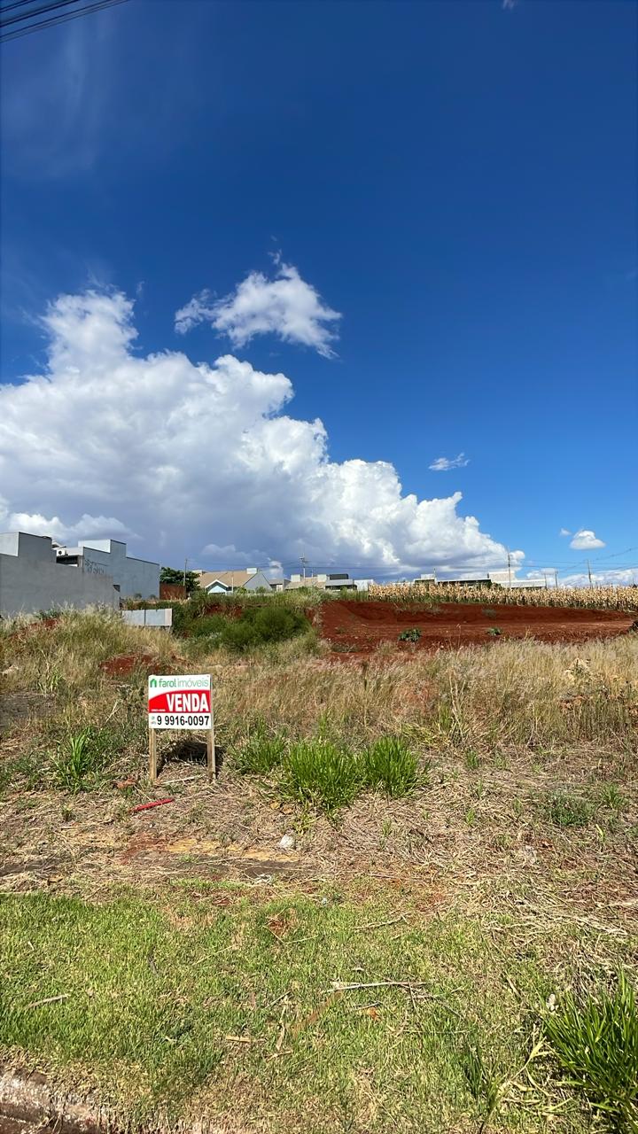 WhatsApp-Image-2026-02-10-at-15.40.51