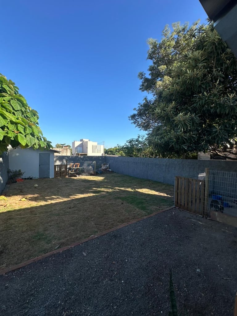 WhatsApp-Image-2026-04-08-at-18.04.11-2-1