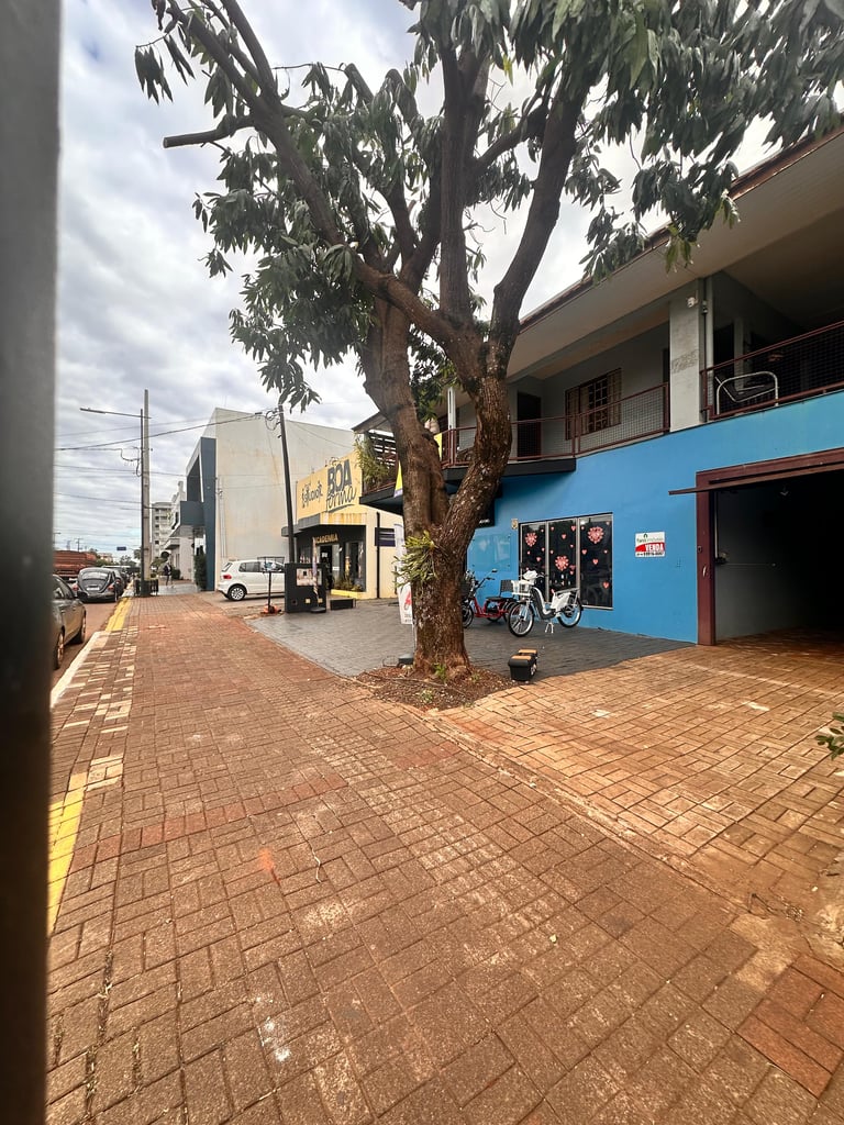 Imagem-do-WhatsApp-de-2025-06-26-as-10.26.42_f1bd2847