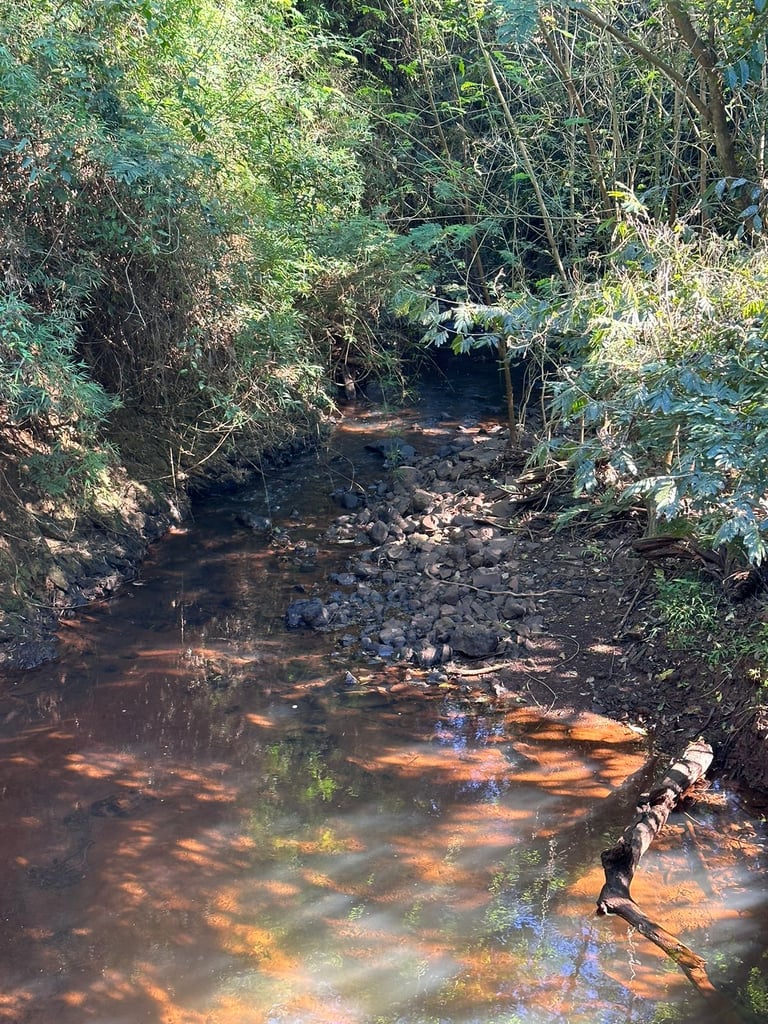 Imagem-do-WhatsApp-de-2023-08-07-as-16.04.24-1