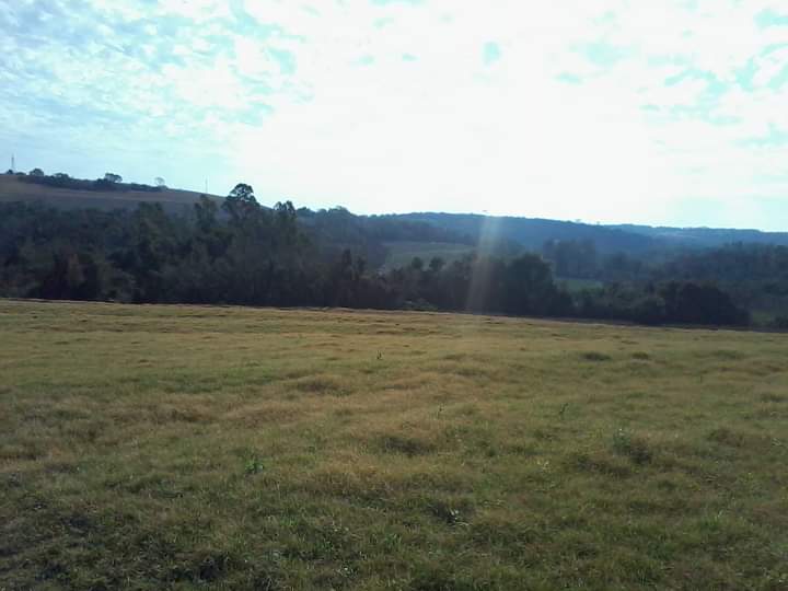 IMG-20240426-WA0019
