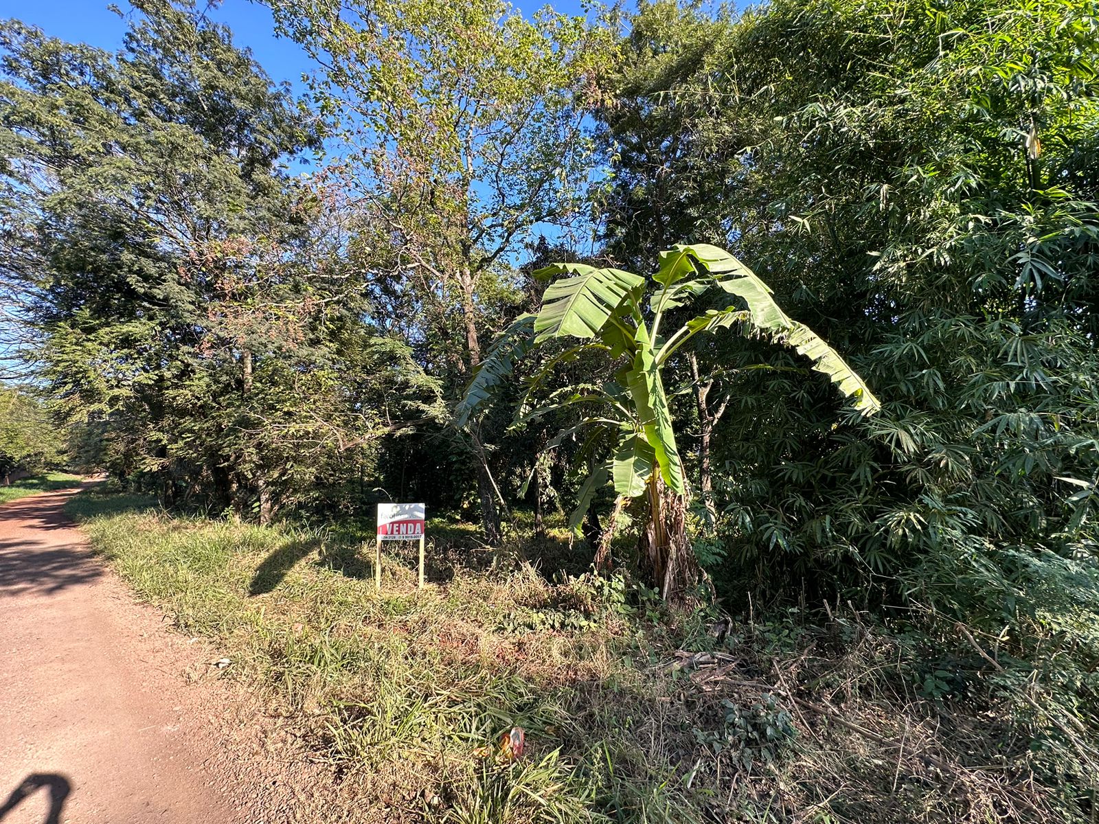 An image of a house listing