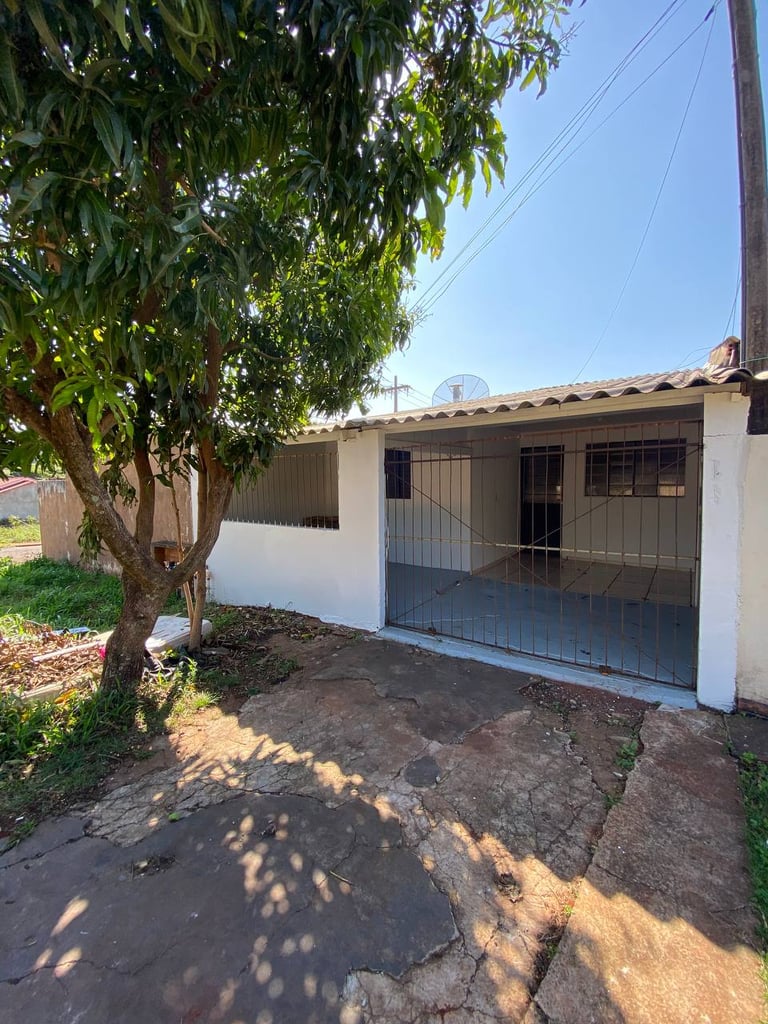 photo_5012648128230305328_y