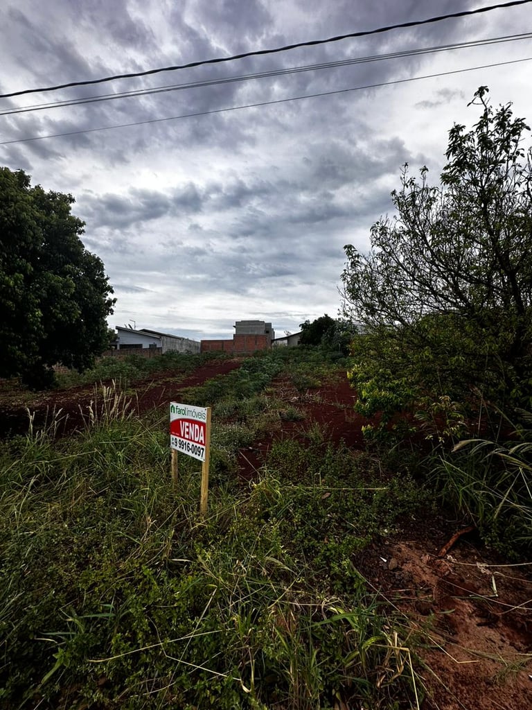 WhatsApp-Image-2025-01-27-at-11.56.56-1