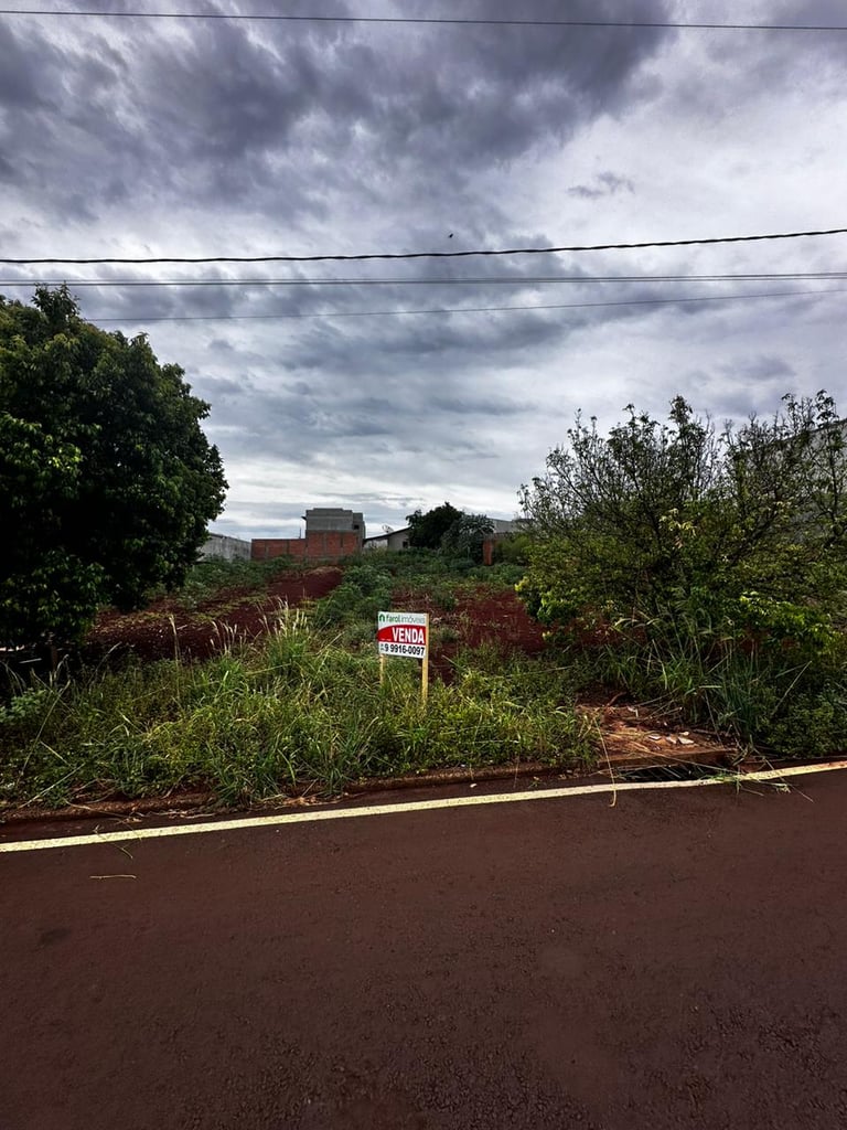 WhatsApp-Image-2025-01-27-at-11.56.57