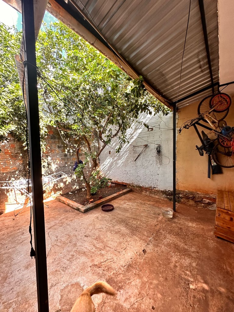 JORLANIO-8