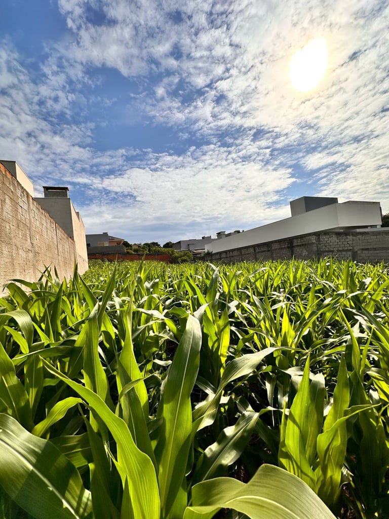 TERRENO-3