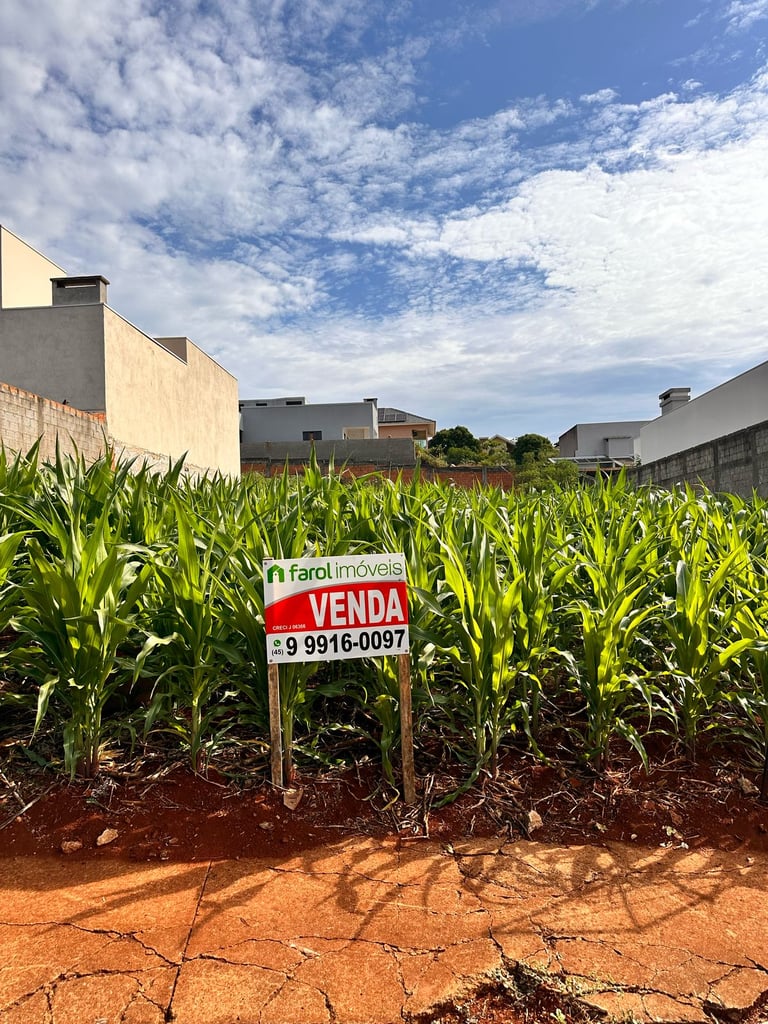 TERRENO-5