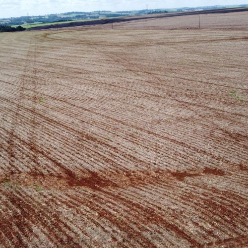 DJI_0874-scaled