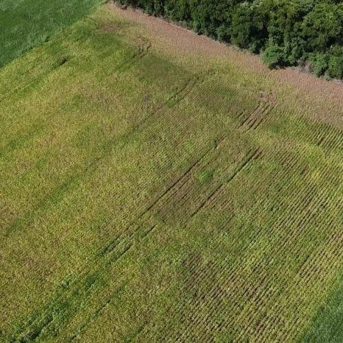 dji_fly_20230123_160711_0_1674500831425_photo_low_quality