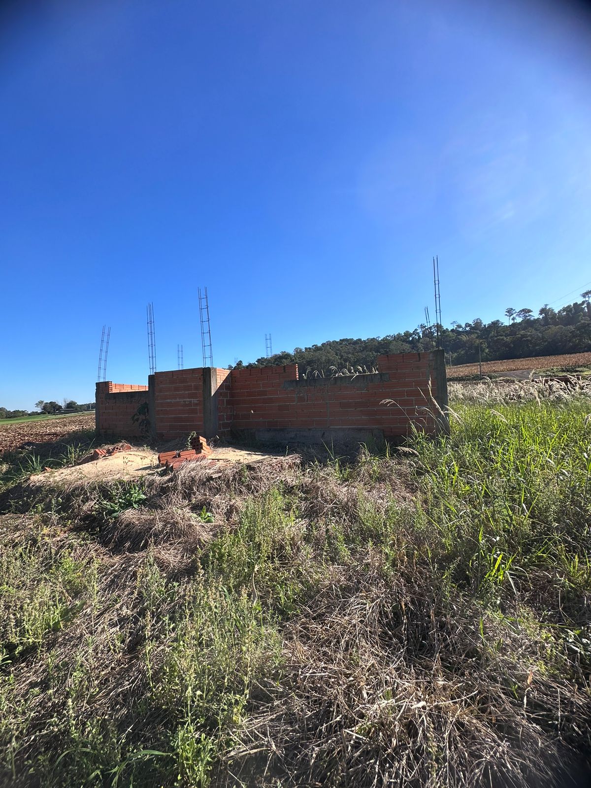 Propriedade A Venda, Linha 10 De Maio-Toledo, A 20km De Marechal ...